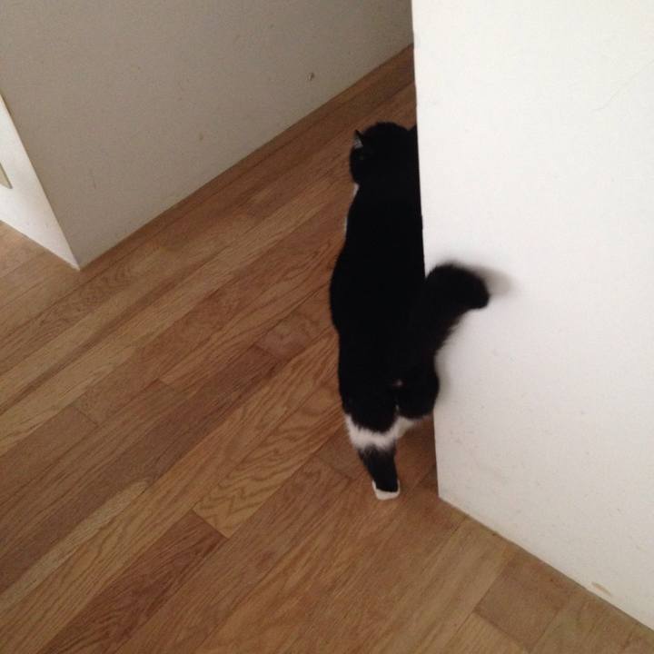 08e49781 3349 400c ad52 0622764973e5