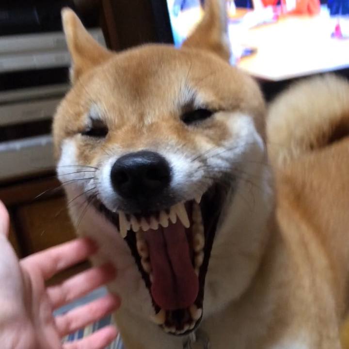 08e50140 e476 439b 8225 38ecffd0fbab