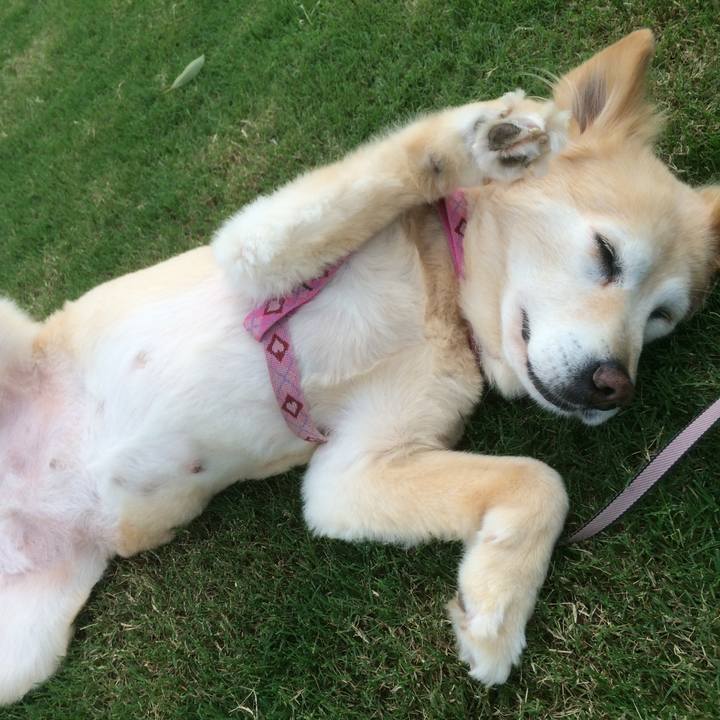 08e51bbe 38a0 47b4 903c 523990416289