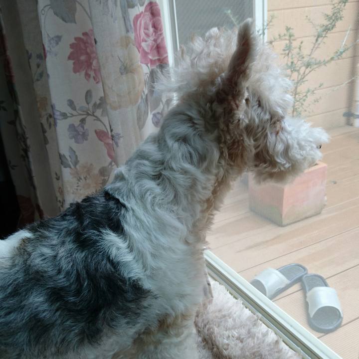 08e55689 da07 4587 84c3 f544981fdac2