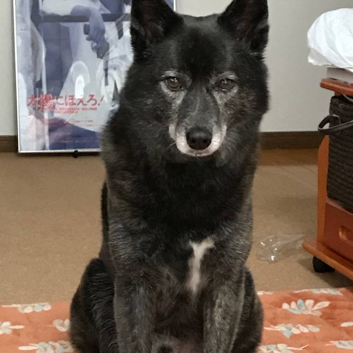 08e55de2 1117 48cf 9623 be09c40fc01b