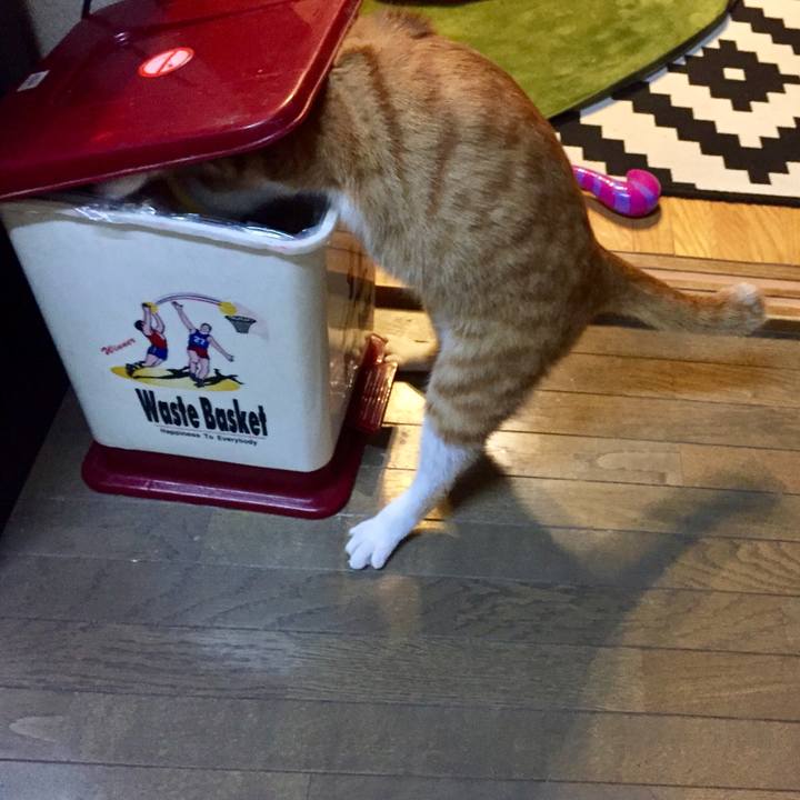 08e56b14 6386 4661 ae60 1a04ec8dfb7e