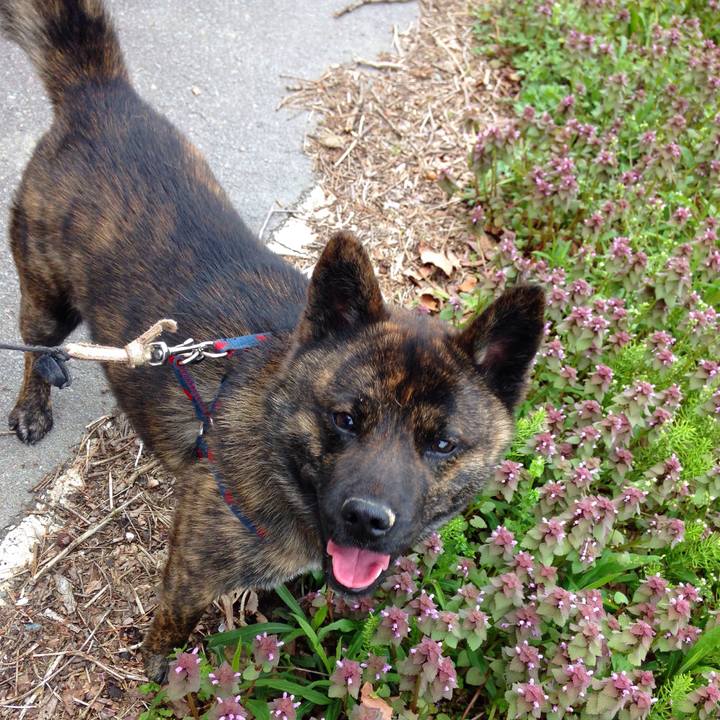 08e62dec 37fa 47ca 97f8 acf0b13c8656