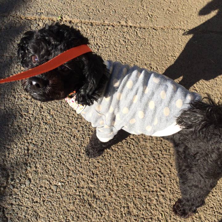 08e62ee8 0a07 41ff 8fe8 049922d26a81