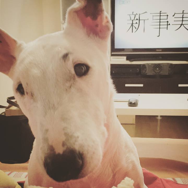 08e67018 66b4 421c 83a4 afe504466ff8