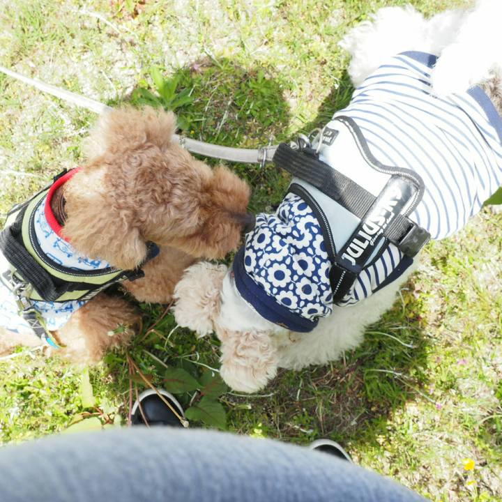 08e804f4 5912 4b58 bc76 d6821b2ec792