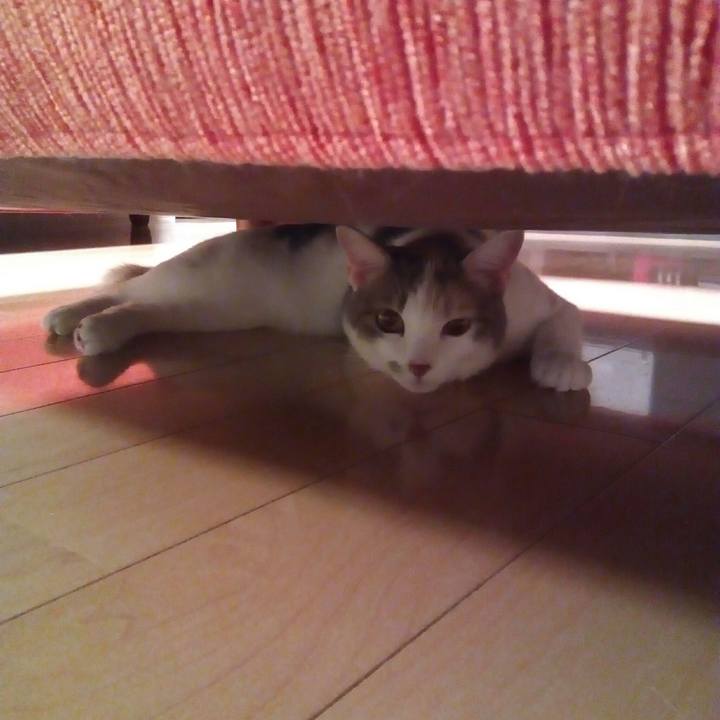 08e87f30 aa6c 4565 b99c 39c3e160ee79