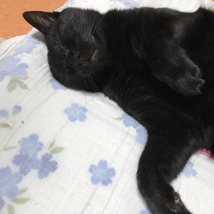 08e90c07 97f7 43d1 89e4 e38c6f74e58b