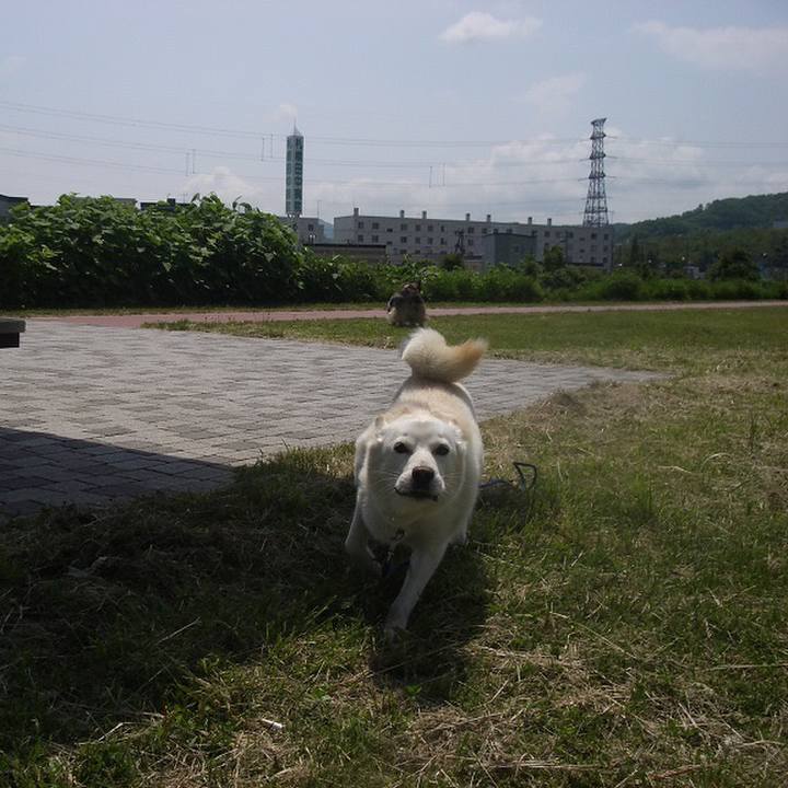 08e95504 0679 40c1 884f 7f3d4c49c06c