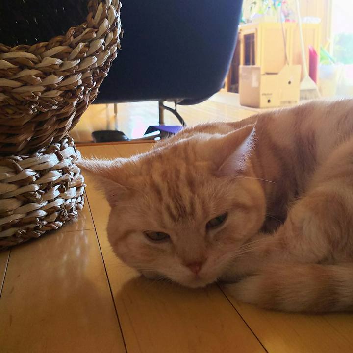 08e96cc2 0735 4b94 a01b 7aaf8d547399