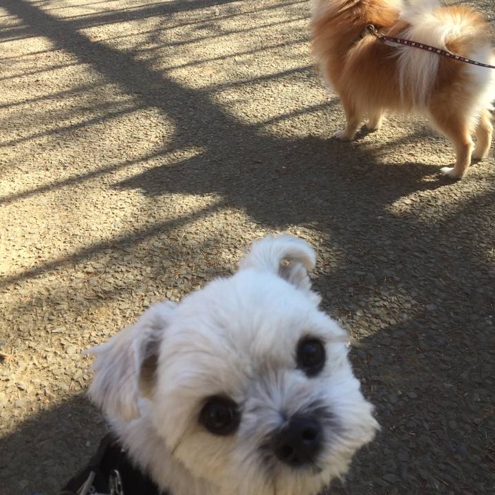 08e9d9bb 8aee 4696 83e8 428f278bf2bf