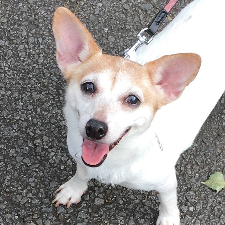 08e9ecef a484 4745 81da 5bc84af46770