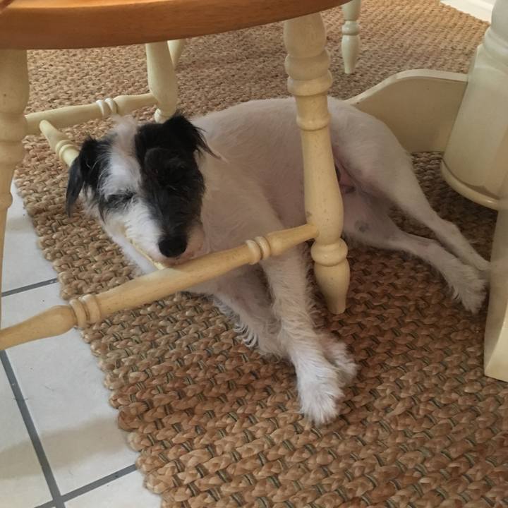 08eab5c1 147b 41c6 9a96 d57f4816a200