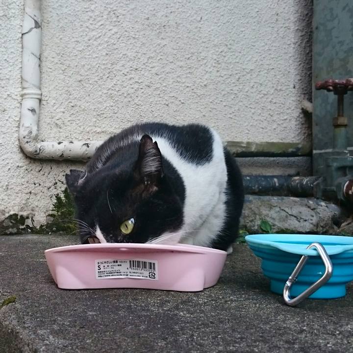 08eaffd2 91ec 4d5f bb18 bfd037a86f17