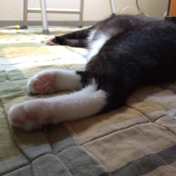 08eb9bdc fbfb 4cbc 8ed4 987e8a323764