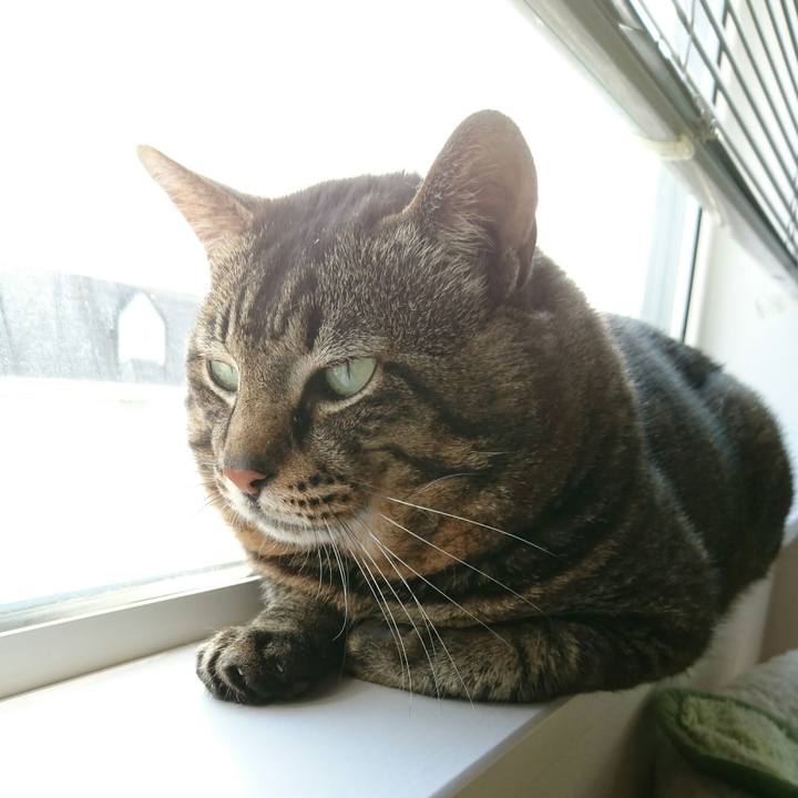 08ed8b36 4d8c 4248 86ef 02dc6648d6d1