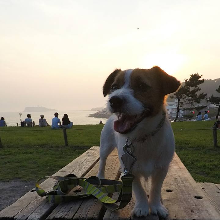 08ed8f92 6b8f 430b 872a 98c8bef362f6