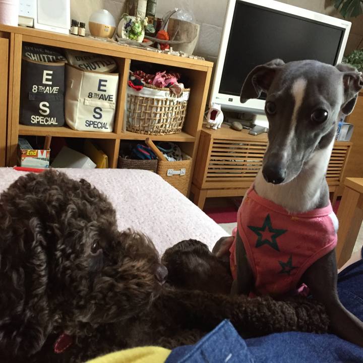 08edb5f4 84d3 4fb6 a12b 9ecc8894ef10