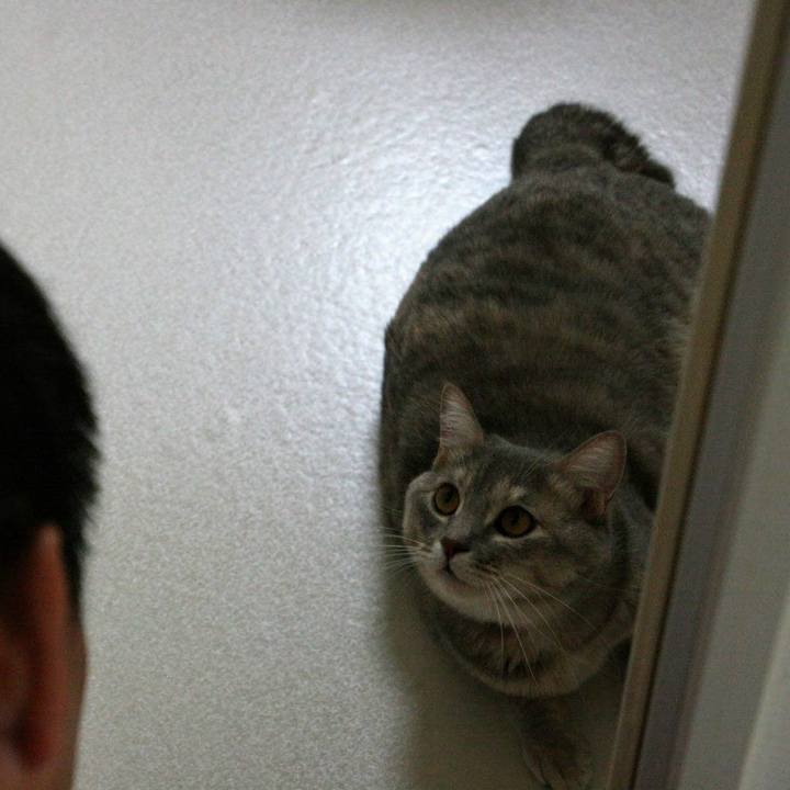 08edc0ec cc37 4c7b 9ac9 47b99c383419