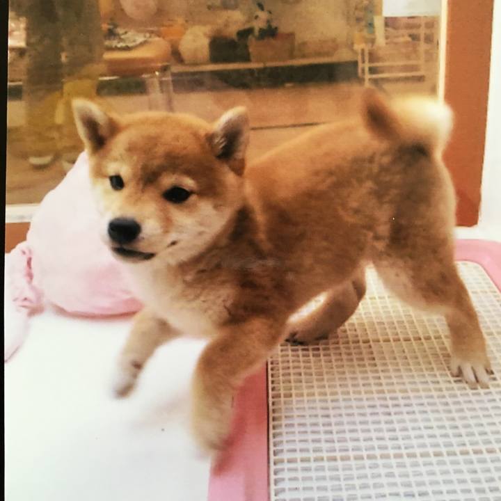 08edf844 02ac 427e b442 b3963d5de81e