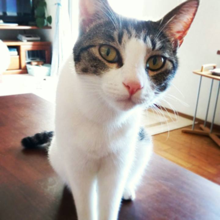 08ee025a b1c9 4e50 88ed 0c3846df0574