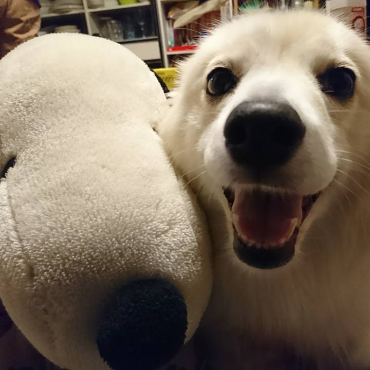 08ee25ba 25e4 4c2d 946b 9bd052876f41