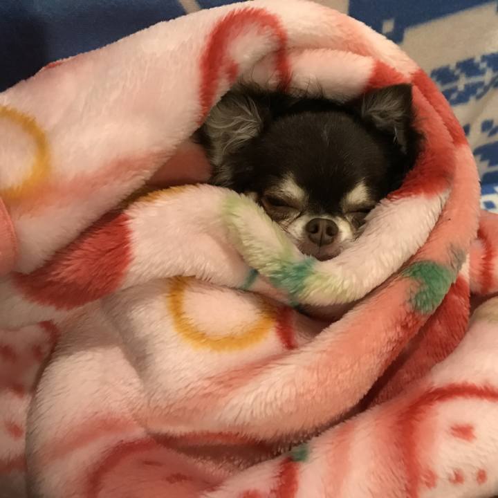 08ef0266 d4f8 4ecb 9b68 bf8efc330940