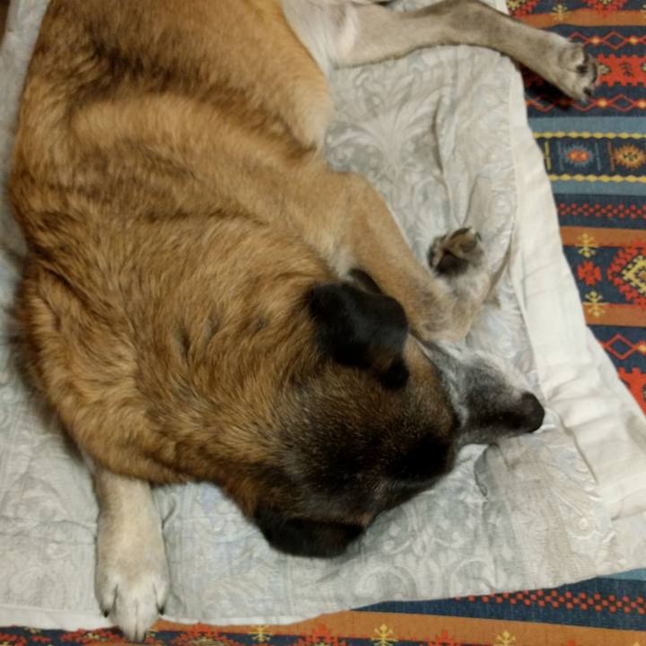 08f03f68 e566 4378 909a 3208c970a960