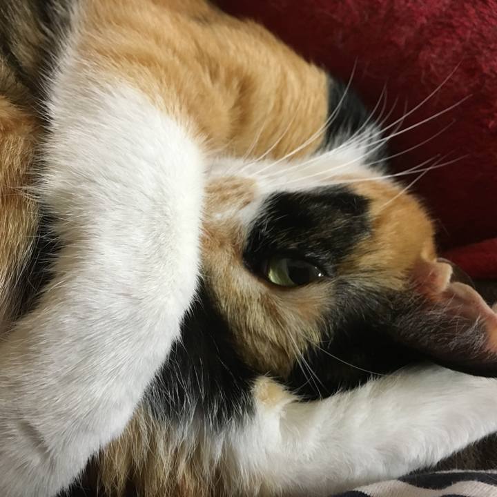 08f08eda 87e0 4f5f 8df5 520f10c24950