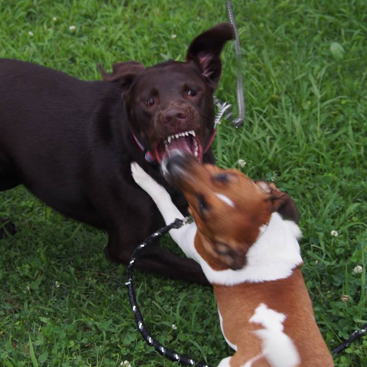 08f0a5a2 b5a6 4536 a355 d2ba9e50bc21