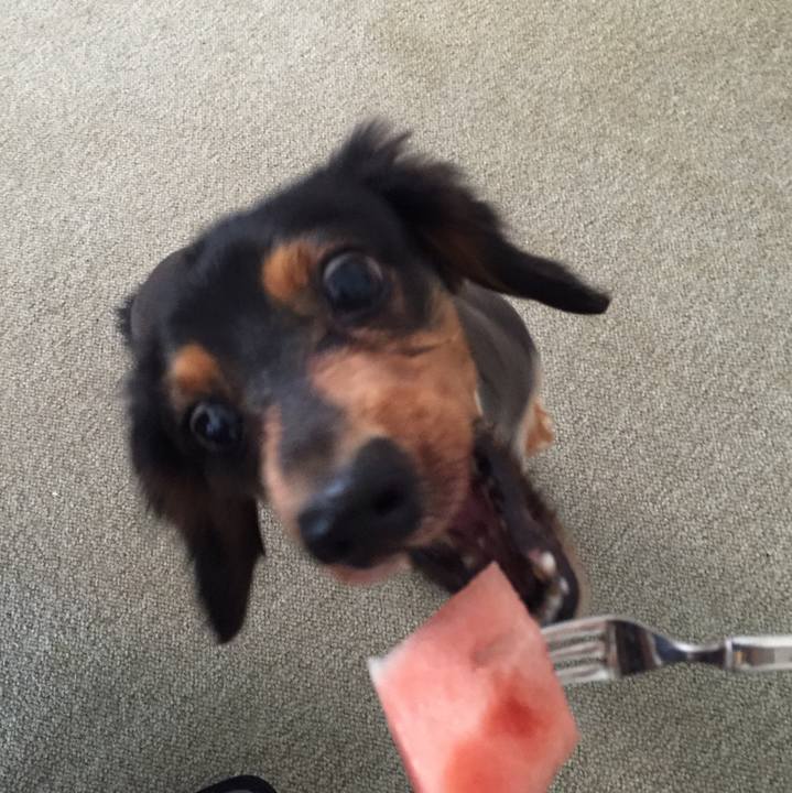 08f1554f 60c4 4df9 8f6f b01aaac2779e