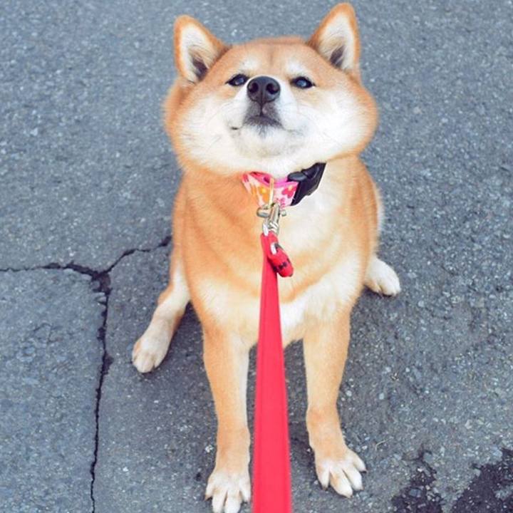 08f22570 bd9e 4f9f bdb1 c8fce0326c4d