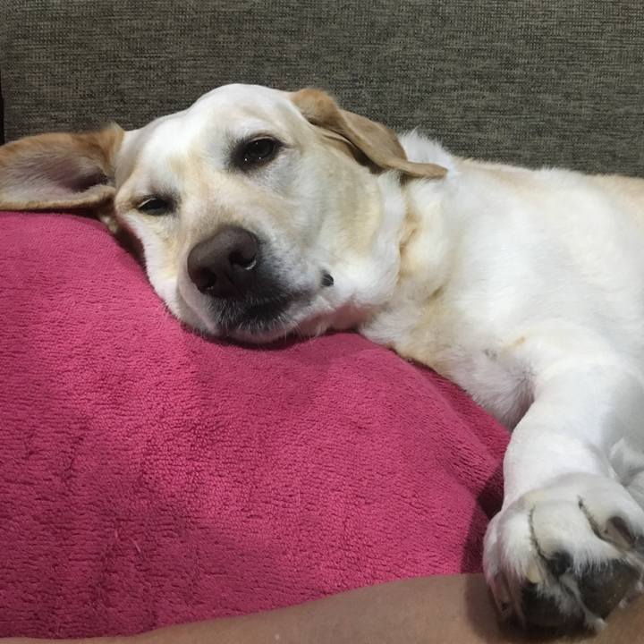 08f236dc e0b5 4257 ada5 b1a62bf4e5bb