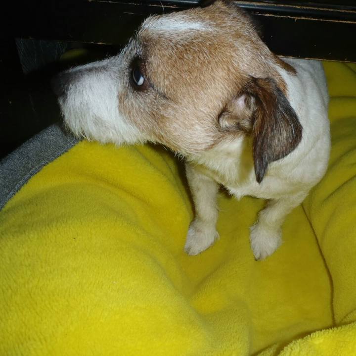 08f24a87 9f32 4315 98f9 8674db42887d