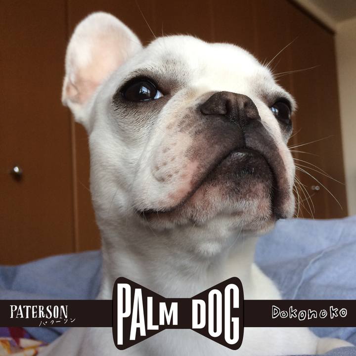 08f259c9 b445 41f6 81c5 77f712edbc94