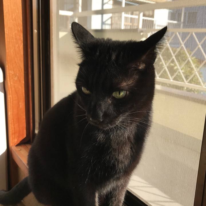 08f25c10 fbe2 4abd 9fb0 fd70b5b507aa