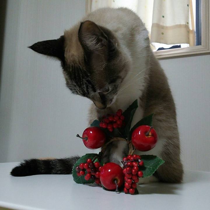 08f30c82 9175 4cf9 b42f 7a8e41b5ef91