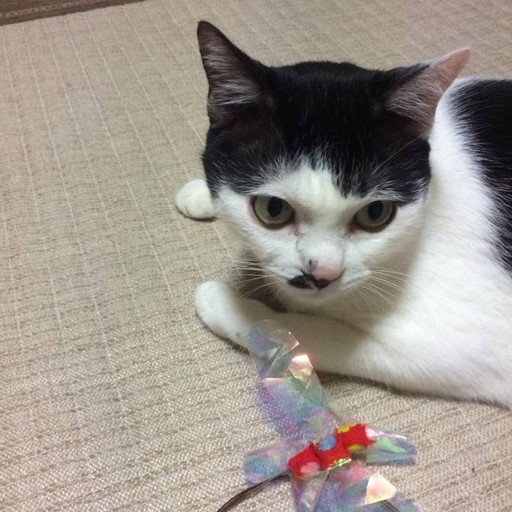 08f34a23 9c9d 4fc3 9dc8 2fe3b95e5487