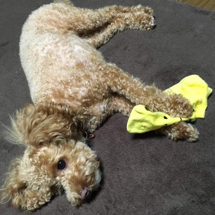 08f3e3ae bf04 4b05 958b a8ea0977f725