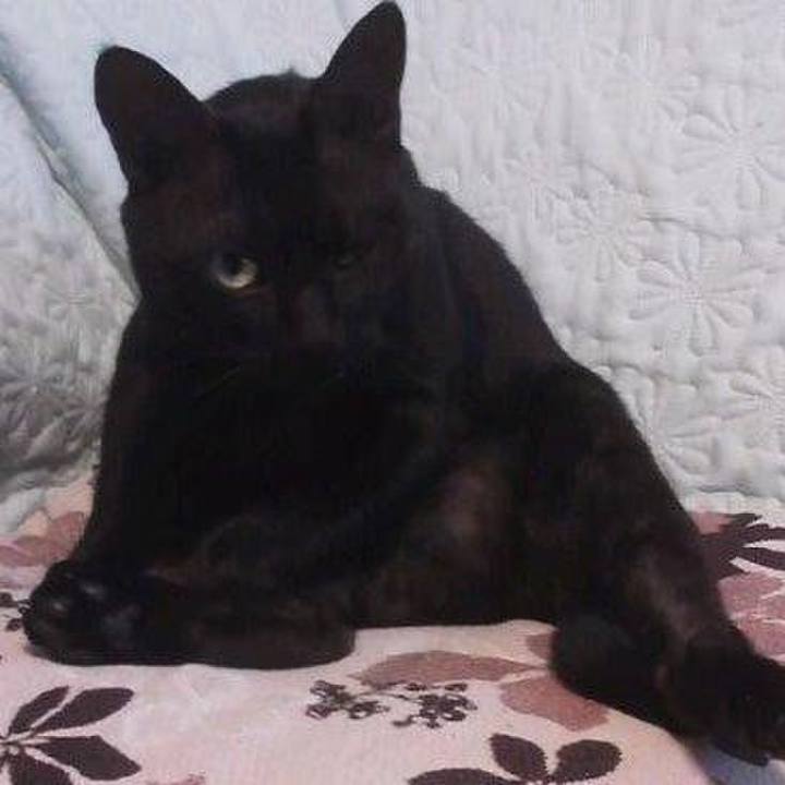 08f40521 5d56 4f87 8af1 8ec089a945ea