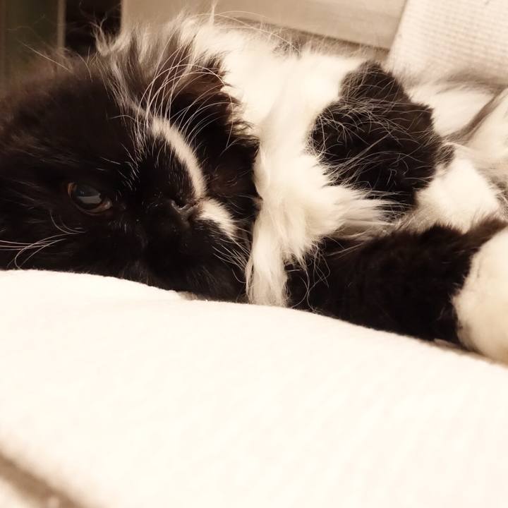 08f41926 6570 4d81 9f3c c4bc62faf642