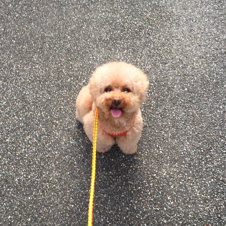 08f48005 d750 4d5f 872f a770e152fca3