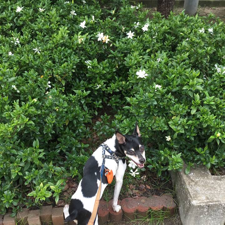 08f4ca91 d086 456a 8806 8210b6457d18