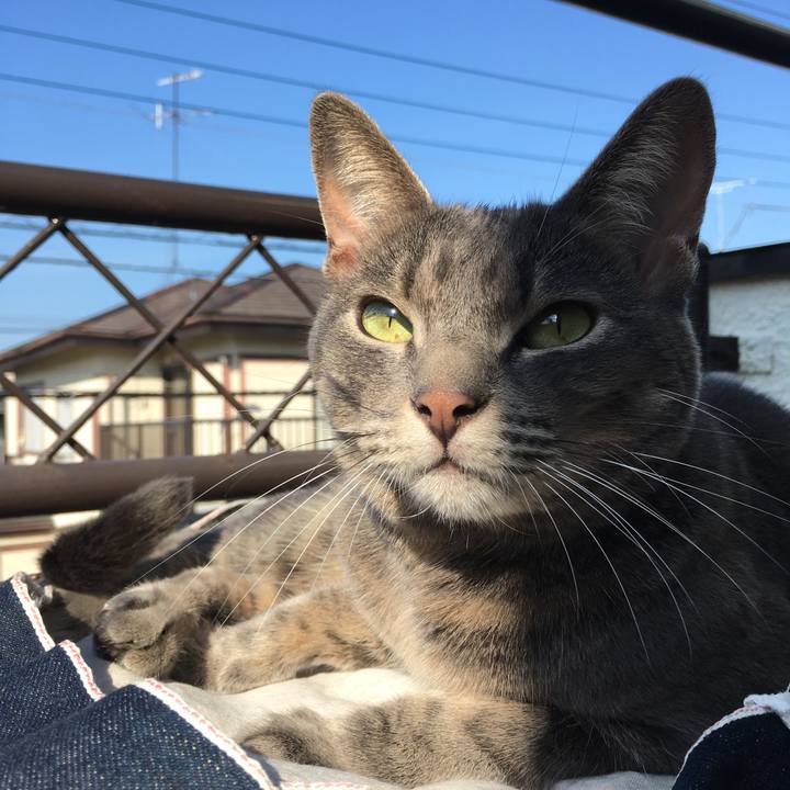 08f54cf6 55a0 4aaa 8022 eac574d95409