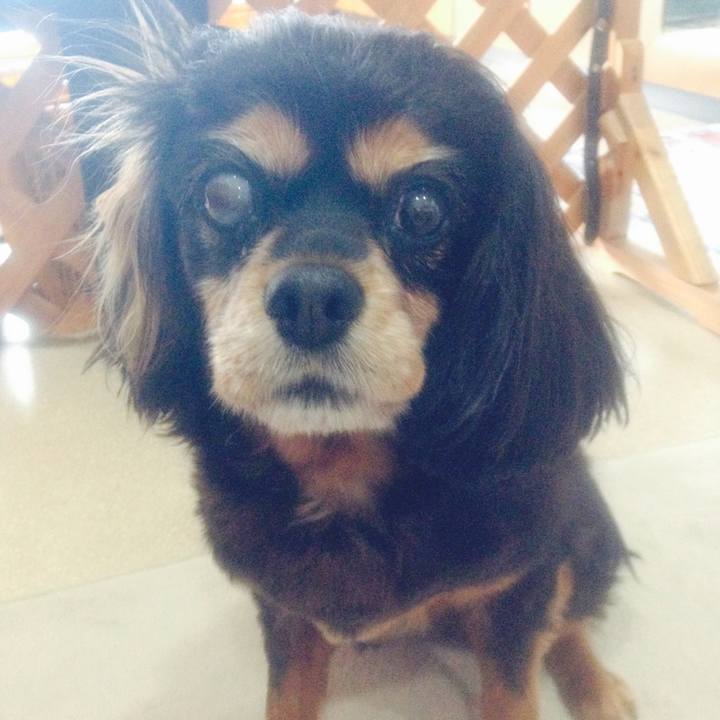 08f5a893 a43a 4c29 adf6 c30c0c792075