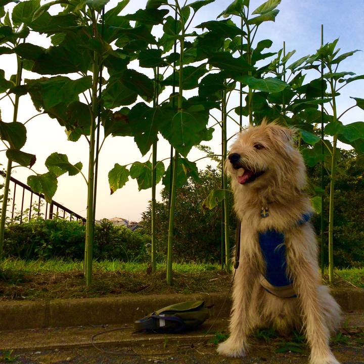 08f620e0 a25f 4e5f 826f 6a533e48b601