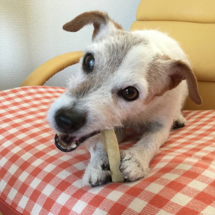 08f6670b 8751 402a bb14 57a7bc517498