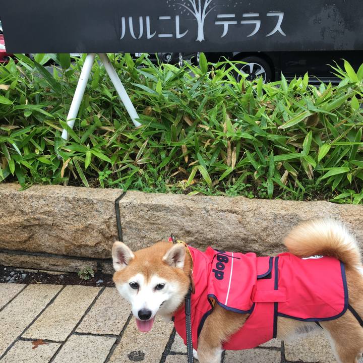 08f73675 1999 4e3b beab 298f87893dcf