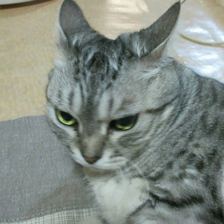 08f7d3fb 9391 4db6 94d6 526e670f7945