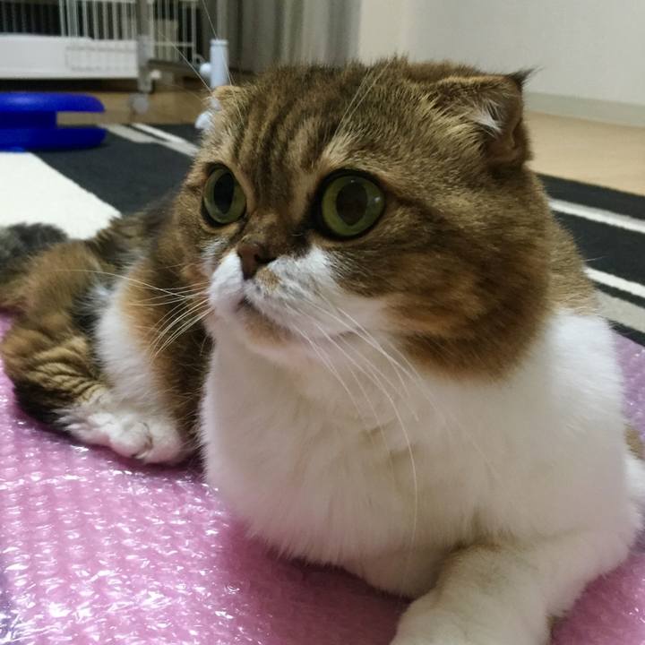 08f85e83 3e0a 4e61 89a9 490fa7727388